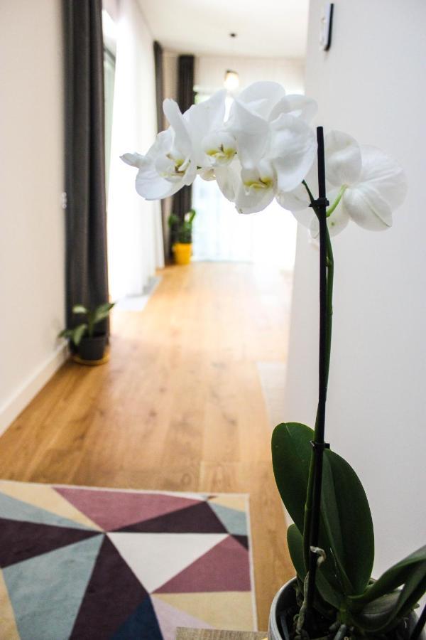 8Ight Apartment Brasov Exterior photo